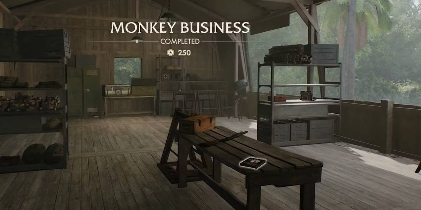 Monkey Business