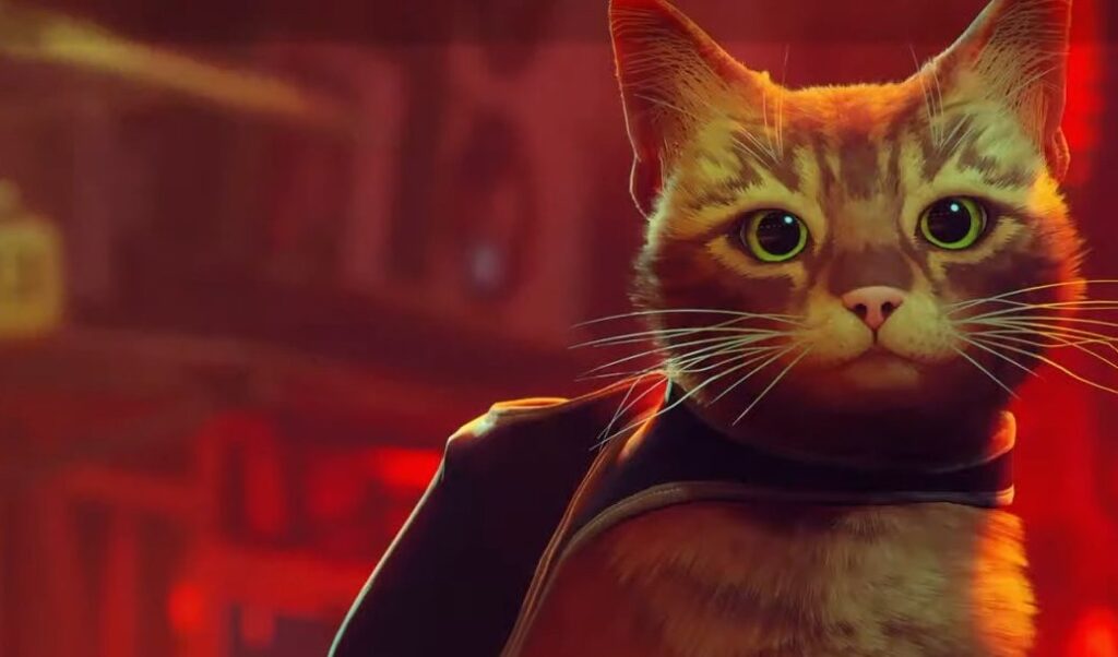 Stray en Switch 2: ¿Y el upgrade gratis? Annapurna responde al problema en la eShop