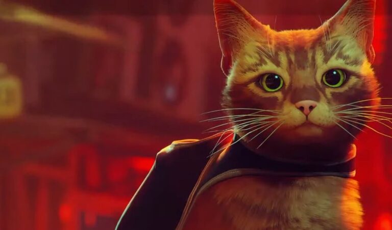 Stray en Switch 2: ¿Y el upgrade gratis? Annapurna responde al problema en la eShop